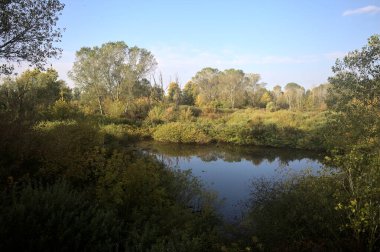 Parkın ortasında ağaçlarla çevrili gölet kavak ağacı ve İtalya kırsalındaki bir bataklıkta bitkilerle çevrili.