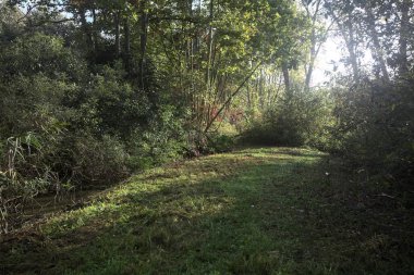 İtalya kırsalında güneşli bir günde, üzerinde ahşap bir korkuluk olan patikanın kenarındaki hendeğe.