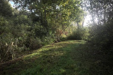 İtalya kırsalında güneşli bir günde, üzerinde ahşap bir korkuluk olan patikanın kenarındaki hendeğe.