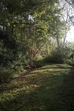 İtalya kırsalında güneşli bir günde, üzerinde ahşap bir korkuluk olan patikanın kenarındaki hendeğe.