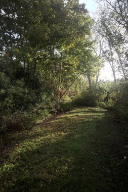 İtalya kırsalında güneşli bir günde, üzerinde ahşap bir korkuluk olan patikanın kenarındaki hendeğe.