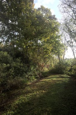 İtalya kırsalında güneşli bir günde, üzerinde ahşap bir korkuluk olan patikanın kenarındaki hendeğe.