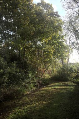 İtalya kırsalında güneşli bir günde, üzerinde ahşap bir korkuluk olan patikanın kenarındaki hendeğe.