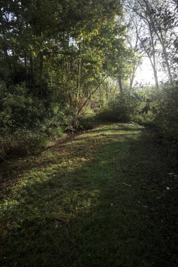 İtalya kırsalında güneşli bir günde, üzerinde ahşap bir korkuluk olan patikanın kenarındaki hendeğe.