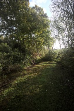 İtalya kırsalında güneşli bir günde, üzerinde ahşap bir korkuluk olan patikanın kenarındaki hendeğe.