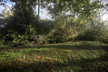 İtalya kırsalında güneşli bir günde, üzerinde ahşap bir korkuluk olan patikanın kenarındaki hendeğe.