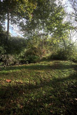 İtalya kırsalında güneşli bir günde, üzerinde ahşap bir korkuluk olan patikanın kenarındaki hendeğe.