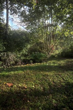İtalya kırsalında güneşli bir günde, üzerinde ahşap bir korkuluk olan patikanın kenarındaki hendeğe.