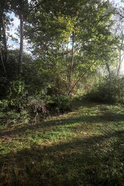 İtalya kırsalında güneşli bir günde, üzerinde ahşap bir korkuluk olan patikanın kenarındaki hendeğe.