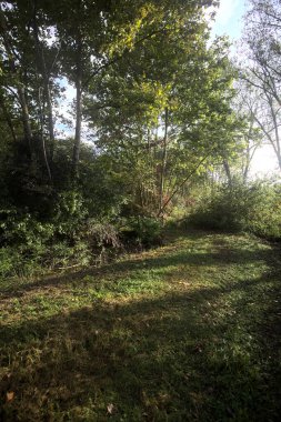 İtalya kırsalında güneşli bir günde, üzerinde ahşap bir korkuluk olan patikanın kenarındaki hendeğe.