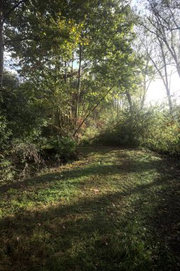 İtalya kırsalında güneşli bir günde, üzerinde ahşap bir korkuluk olan patikanın kenarındaki hendeğe.