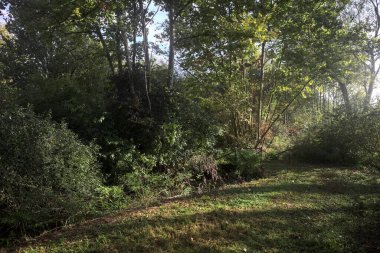 İtalya kırsalında güneşli bir günde, üzerinde ahşap bir korkuluk olan patikanın kenarındaki hendeğe.