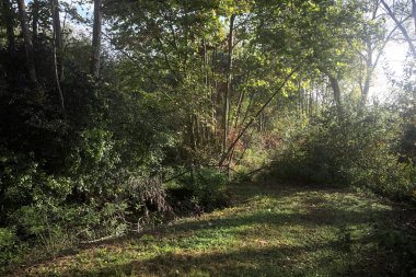 İtalya kırsalında güneşli bir günde, üzerinde ahşap bir korkuluk olan patikanın kenarındaki hendeğe.