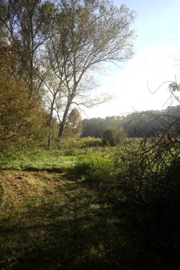 İtalya 'nın kırsal kesimindeki bir parkta ağaçlarla çevrili bir patika ve tarla.