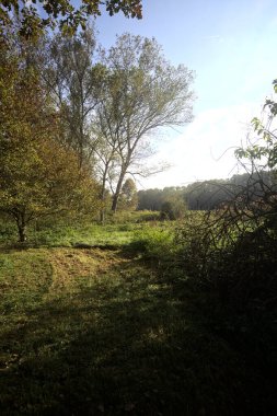 İtalya 'nın kırsal kesimindeki bir parkta ağaçlarla çevrili bir patika ve tarla.