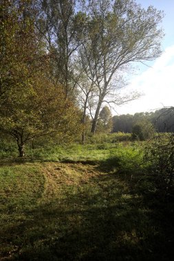 İtalya 'nın kırsal kesimindeki bir parkta ağaçlarla çevrili bir patika ve tarla.