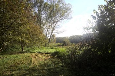 İtalya 'nın kırsal kesimindeki bir parkta ağaçlarla çevrili bir patika ve tarla.