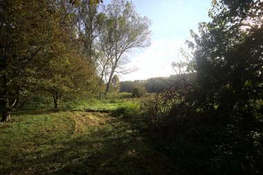 İtalya 'nın kırsal kesimindeki bir parkta ağaçlarla çevrili bir patika ve tarla.