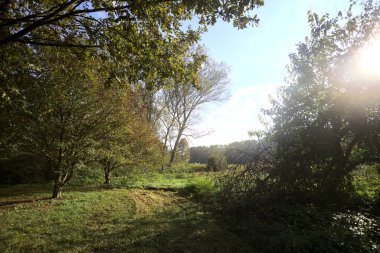 İtalya 'nın kırsal kesimindeki bir parkta ağaçlarla çevrili bir patika ve tarla.