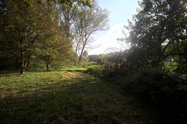 İtalya 'nın kırsal kesimindeki bir parkta ağaçlarla çevrili bir patika ve tarla.