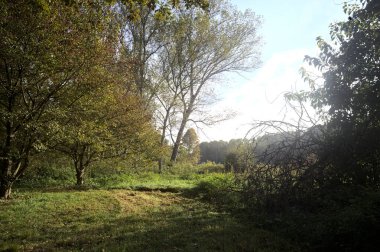İtalya 'nın kırsal kesimindeki bir parkta ağaçlarla çevrili bir patika ve tarla.