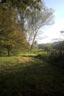 İtalya 'nın kırsal kesimindeki bir parkta ağaçlarla çevrili bir patika ve tarla.