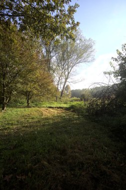 İtalya 'nın kırsal kesimindeki bir parkta ağaçlarla çevrili bir patika ve tarla.