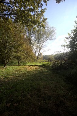 İtalya 'nın kırsal kesimindeki bir parkta ağaçlarla çevrili bir patika ve tarla.