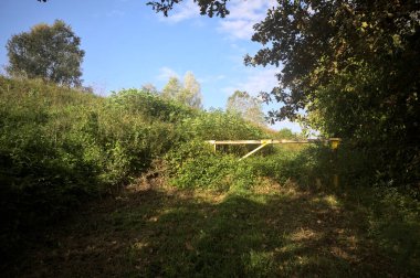 İtalya kırsalında güneşli bir günde, parkın ağaçlarıyla çevrili bir bar tarafından kapatılmış çimlerle dolu bir patika.