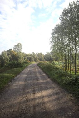 İtalya 'nın kırsal kesimindeki bir ağaç çiftliğinin yanındaki setin gölgesinde çakıl izleri var.