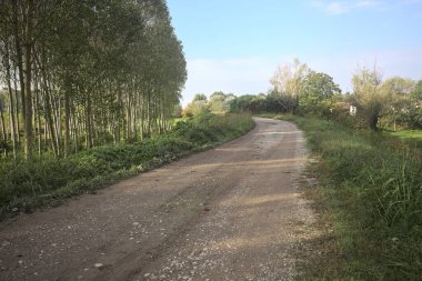 İtalya 'nın kırsal kesimindeki bir ağaç çiftliğinin yanındaki setin gölgesinde çakıl izleri var.
