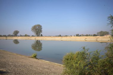 İtalya 'nın kırsal kesimlerinde güneşli bir günde, bir nehrin kıyısındaki bir tarlada yansıması suya düşen kavak.