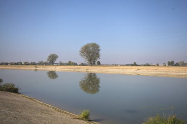 İtalya 'nın kırsal kesimlerinde güneşli bir günde, bir nehrin kıyısındaki bir tarlada yansıması suya düşen kavak.