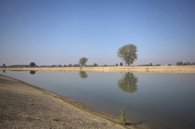 İtalya 'nın kırsal kesimlerinde güneşli bir günde, bir nehrin kıyısındaki bir tarlada yansıması suya düşen kavak.