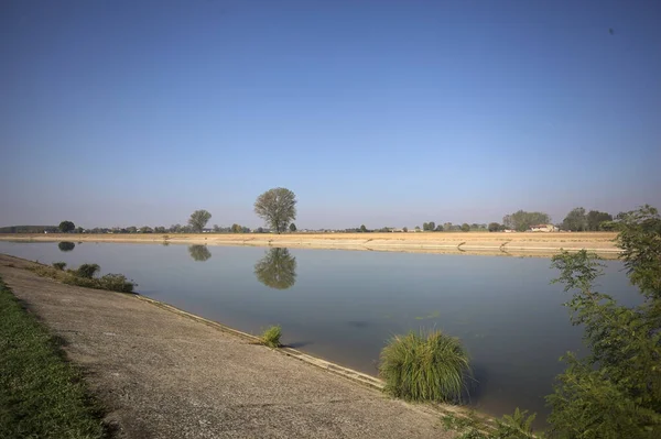 İtalya 'nın kırsal kesimlerinde güneşli bir günde, bir nehrin kıyısındaki bir tarlada yansıması suya düşen kavak.