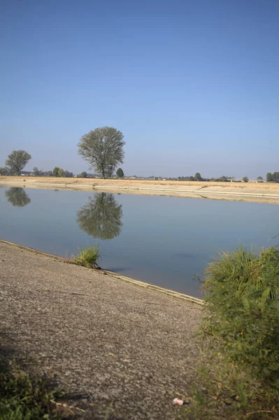 İtalya 'nın kırsal kesimlerinde güneşli bir günde, bir nehrin kıyısındaki bir tarlada yansıması suya düşen kavak.