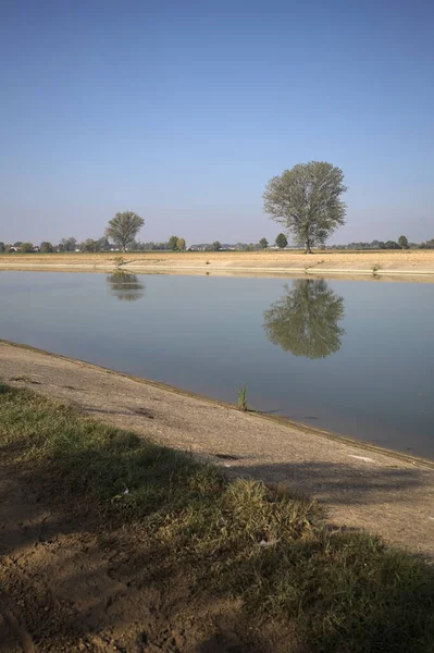 İtalya 'nın kırsal kesimlerinde güneşli bir günde, bir nehrin kıyısındaki bir tarlada yansıması suya düşen kavak.