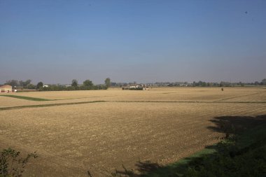 Ufuk çizgisine kadar uzanan tarlalar, İtalya 'nın kırsal kesimlerinde ağaçlar ve kır evleri ile doludur.