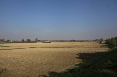 Ufuk çizgisine kadar uzanan tarlalar, İtalya 'nın kırsal kesimlerinde ağaçlar ve kır evleri ile doludur.