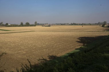 Ufuk çizgisine kadar uzanan tarlalar, İtalya 'nın kırsal kesimlerinde ağaçlar ve kır evleri ile doludur.