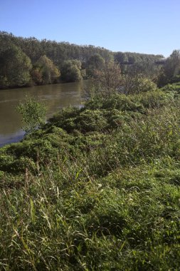 Nehir, kıyılarının kıyısındaki toprak setlerin arasında güneşli bir günde nehrin üzerinden geçen bir köprü ile İtalya 'nın kırsalında, toprak setin tepesindeki bir patikadan görülebiliyor.