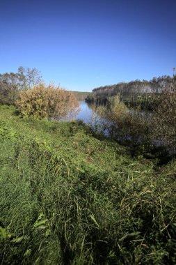 İtalya kırsalında güneşli bir günde kıyılarında ağaçlar olan setler arasında akan nehir yukarıdan görülüyor.