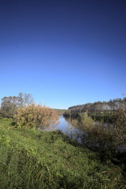 İtalya kırsalında güneşli bir günde kıyılarında ağaçlar olan setler arasında akan nehir yukarıdan görülüyor.
