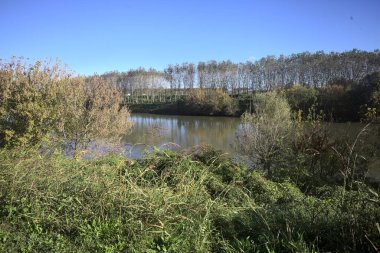 İtalya 'nın kırsal kesimindeki karşı kıyıdaki bir toprak setinden yansıyan ağaçlarla dolu nehir kıyısı suya yansıyor.