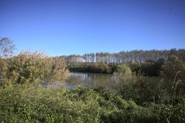 İtalya 'nın kırsal kesimindeki karşı kıyıdaki bir toprak setinden yansıyan ağaçlarla dolu nehir kıyısı suya yansıyor.