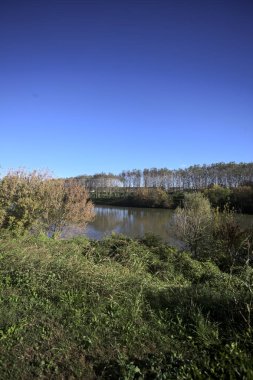 İtalya 'nın kırsal kesimindeki karşı kıyıdaki bir toprak setinden yansıyan ağaçlarla dolu nehir kıyısı suya yansıyor.