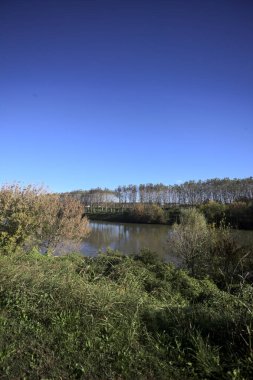 İtalya 'nın kırsal kesimindeki karşı kıyıdaki bir toprak setinden yansıyan ağaçlarla dolu nehir kıyısı suya yansıyor.