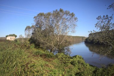 Terk edilmiş eski bir Weir binası. İtalya 'nın kırsal kesimindeki bir ırmağın üzerindeki bir toprak setinin kenarındaki patikanın kenarında.