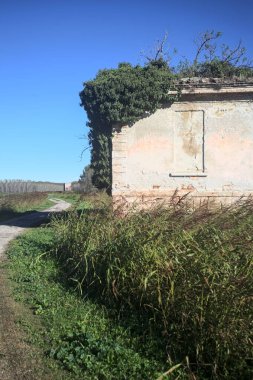 İtalya kırsalındaki bir patikanın kenarındaki çimenlikte terk edilmiş bir bina.