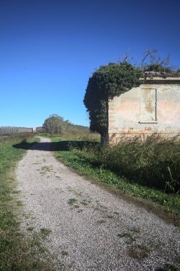 İtalya kırsalındaki bir patikanın kenarındaki çimenlikte terk edilmiş bir bina.